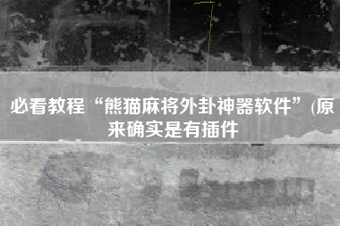 必看教程“熊猫麻将外卦神器软件”(原来确实是有插件