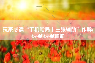 玩家必读“手机哈局十三张辅助”作弊(透视)透视辅助