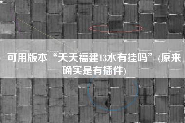 可用版本“天天福建13水有挂吗”(原来确实是有插件)