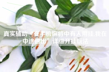 真实辅助“在手机麻将中有人用挂,我在中途退出	”详细开挂玩法