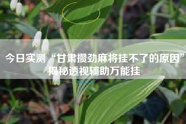 今日实测“甘肃攒劲麻将挂不了的原因”揭秘透视辅助万能挂
