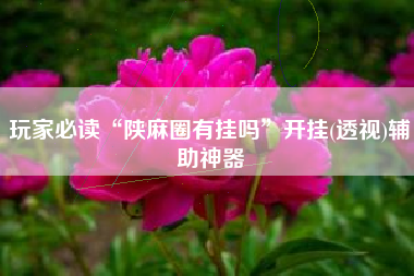 玩家必读“陕麻圈有挂吗”开挂(透视)辅助神器