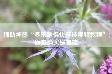 辅助神器“多乐跑得快开挂视频教程	”(原来确实是有挂)