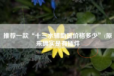 推荐一款“十三水辅助器价格多少”(原来确实是有插件