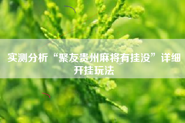 实测分析“聚友贵州麻将有挂没”详细开挂玩法