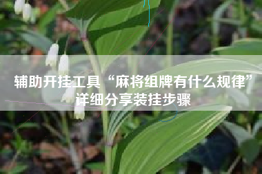 辅助开挂工具“麻将组牌有什么规律	”详细分享装挂步骤