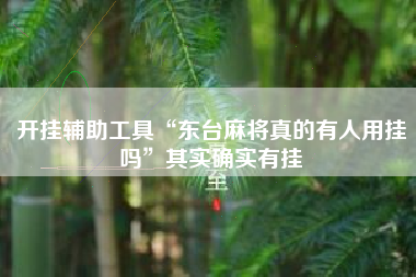 开挂辅助工具“东台麻将真的有人用挂吗”其实确实有挂