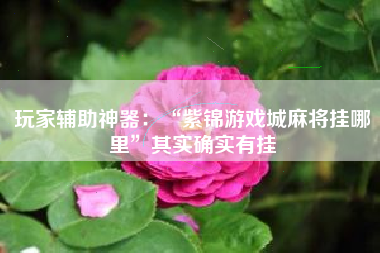 玩家辅助神器：“紫锦游戏城麻将挂哪里”其实确实有挂