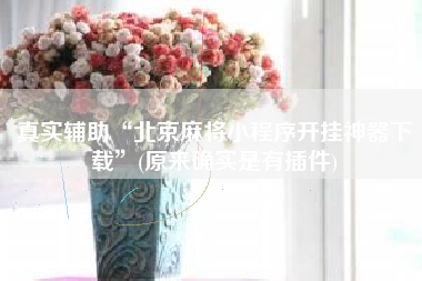 真实辅助“北京麻将小程序开挂神器下载	”(原来确实是有插件)