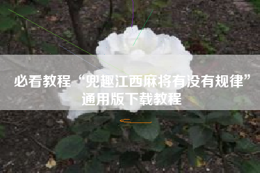 必看教程“兜趣江西麻将有没有规律”通用版下载教程