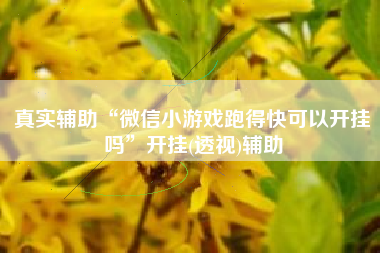 真实辅助“微信小游戏跑得快可以开挂吗	”开挂(透视)辅助