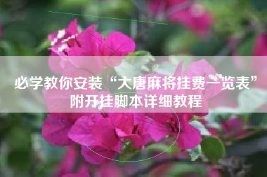 必学教你安装“大唐麻将挂费一览表”附开挂脚本详细教程