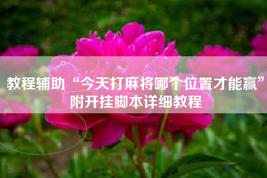 教程辅助“今天打麻将哪个位置才能赢”附开挂脚本详细教程