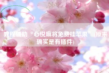 教程辅助“心悦麻将免费挂苹果	”(原来确实是有插件)