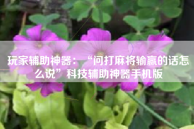 玩家辅助神器：“问打麻将输赢的话怎么说	”科技辅助神器手机版