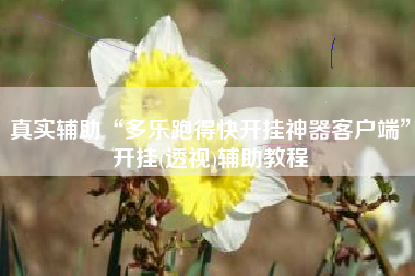 真实辅助“多乐跑得快开挂神器客户端”开挂(透视)辅助教程
