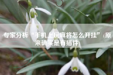 专家分析“手机上玩麻将怎么开挂”(原来确实是有插件)