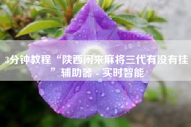 3分钟教程“陕西闲来麻将三代有没有挂	”辅助器 - 实时智能