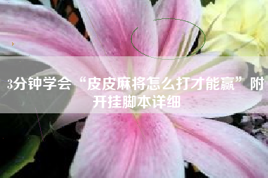 3分钟学会“皮皮麻将怎么打才能赢”附开挂脚本详细