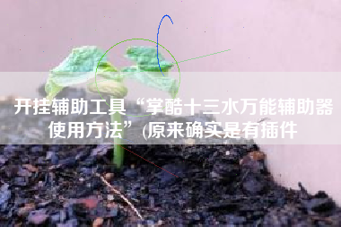 开挂辅助工具“掌酷十三水万能辅助器使用方法”(原来确实是有插件