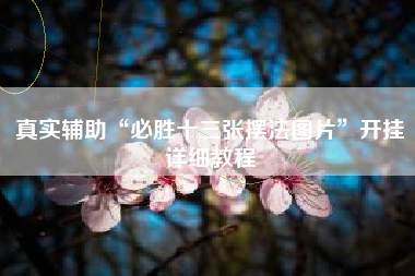 真实辅助“必胜十三张摆法图片”开挂详细教程