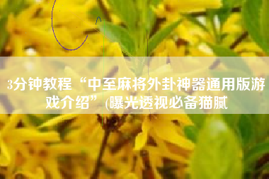 3分钟教程“中至麻将外卦神器通用版游戏介绍”(曝光透视必备猫腻 3分钟教程“中至麻将外卦神器通用版游戏介绍”(曝光透视必备猫腻