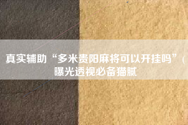 真实辅助“多米贵阳麻将可以开挂吗	”(曝光透视必备猫腻