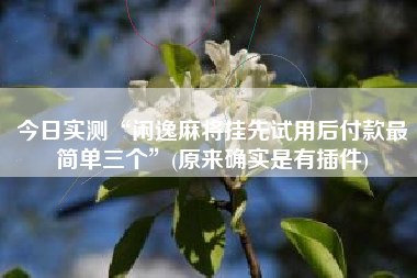 今日实测“闲逸麻将挂先试用后付款最简单三个”(原来确实是有插件)