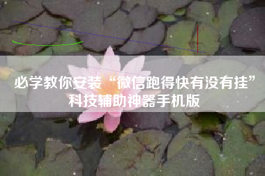 必学教你安装“微信跑得快有没有挂”科技辅助神器手机版