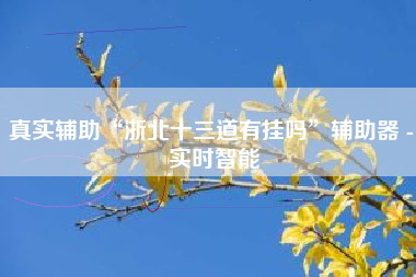 真实辅助“浙北十三道有挂吗”辅助器 - 实时智能