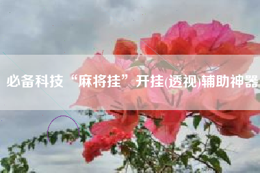必备科技“麻将挂	”开挂(透视)辅助神器