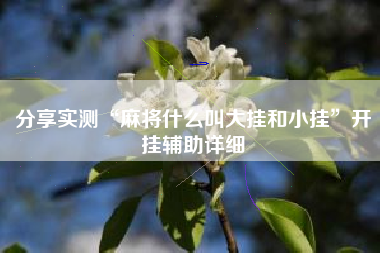 分享实测“麻将什么叫大挂和小挂”开挂辅助详细