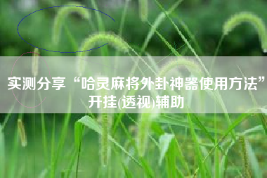 实测分享“哈灵麻将外卦神器使用方法”开挂(透视)辅助 实测分享“哈灵麻将外卦神器使用方法”开挂(透视)辅助