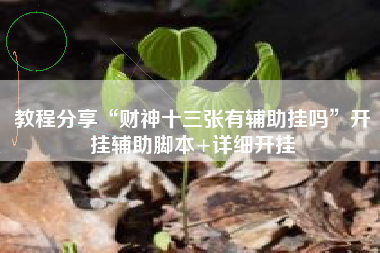 教程分享“财神十三张有辅助挂吗”开挂辅助脚本+详细开挂