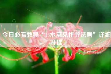 今日必看教程“13水常见作弊法则”详细开挂