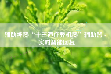 辅助神器“十三道作弊机器	”辅助器 - 实时智能回复