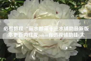 必看教程“丽水都莱十三水辅助最新版本更新内红龙poker有透视辅助挂(太