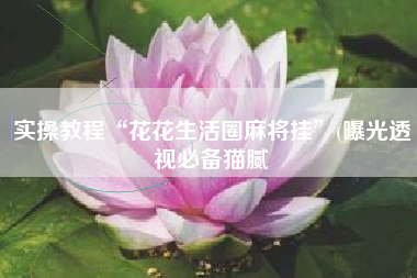 实操教程“花花生活圈麻将挂”(曝光透视必备猫腻