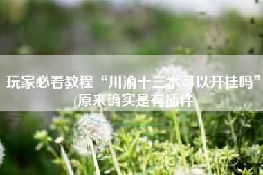 玩家必看教程“川渝十三水可以开挂吗	”(原来确实是有插件