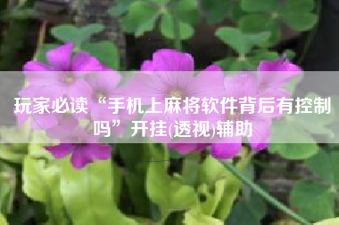 玩家必读“手机上麻将软件背后有控制吗”开挂(透视)辅助