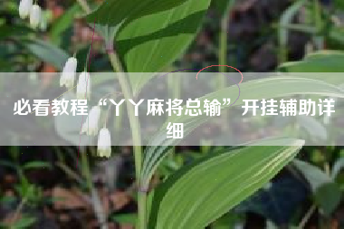必看教程“丫丫麻将总输”开挂辅助详细