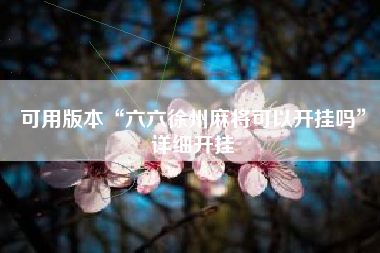 可用版本“六六徐州麻将可以开挂吗”详细开挂