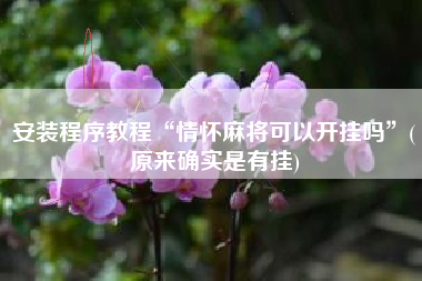 安装程序教程“情怀麻将可以开挂吗”(原来确实是有挂)