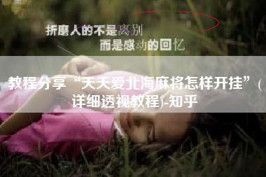 教程分享“天天爱北海麻将怎样开挂	”(详细透视教程)-知乎