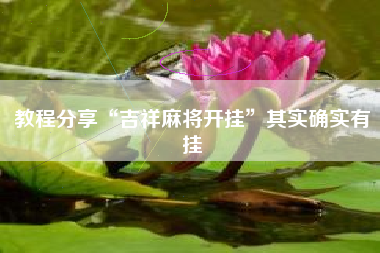 教程分享“吉祥麻将开挂”其实确实有挂 教程分享“吉祥麻将开挂”其实确实有挂