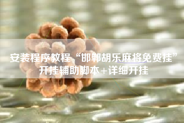 安装程序教程“邯郸胡乐麻将免费挂	”开挂辅助脚本+详细开挂