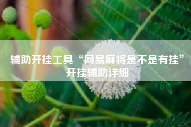 辅助开挂工具“网易麻将是不是有挂”开挂辅助详细