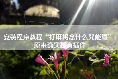 安装程序教程“打麻将念什么咒能赢”(原来确实是有插件