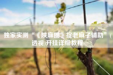 独家实测“《陕麻圈》捉老麻子辅助”(透视)开挂详细教程