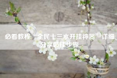 必看教程“全民十三水开挂神器”详细分享装挂步骤